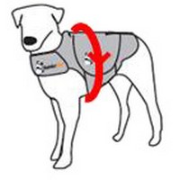 thundershirt the drug-free dog anxiety solution thundershirt for dog anxiety